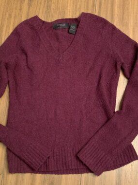Express medium v-neck sweater